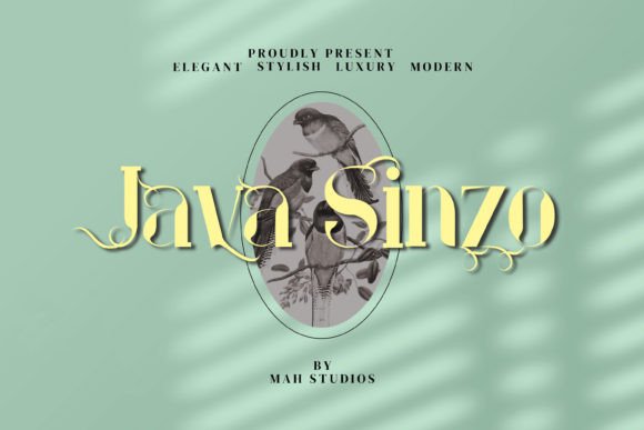 Java Sinzo: The Modern Serif Font for Professional Branding